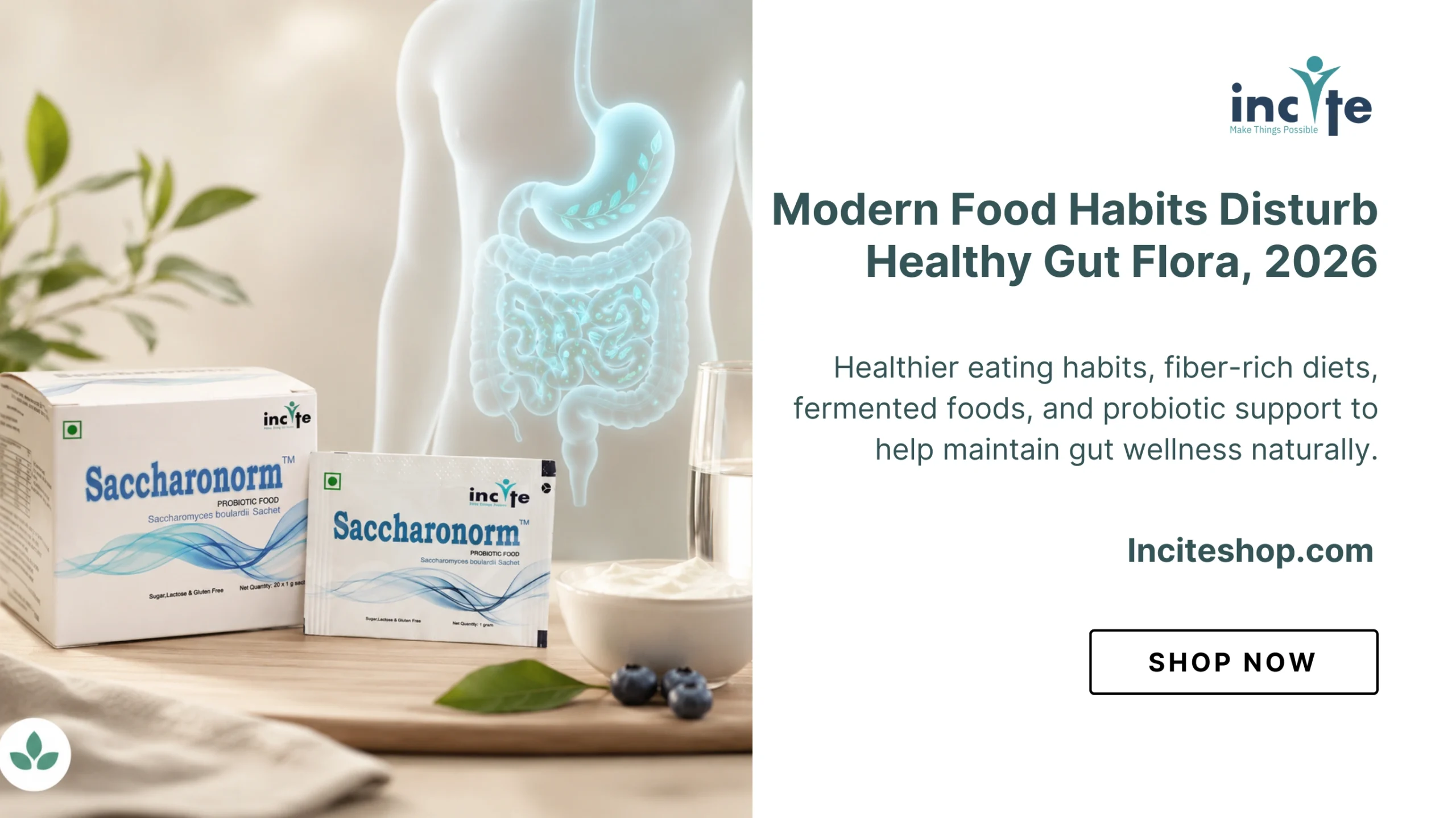 Modern Food Habits Disturb Healthy Gut Flora, June 2026
